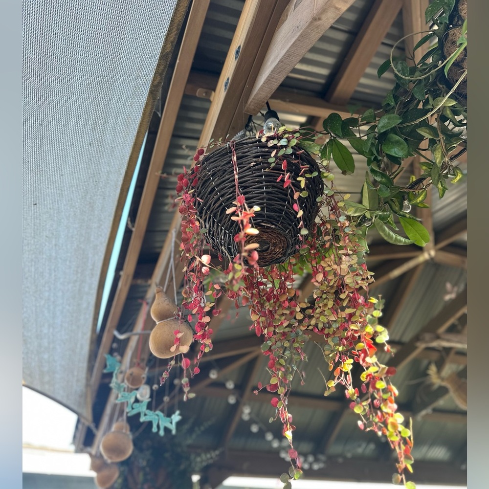 Meet your Posher, Chanlyna